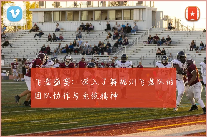 飞盘盛宴：深入了解杭州飞盘队的团队协作与竞技精神