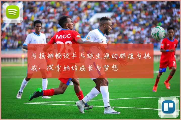 与杨娜畅谈乒乓球生涯的辉煌与挑战，探索她的成长与梦想